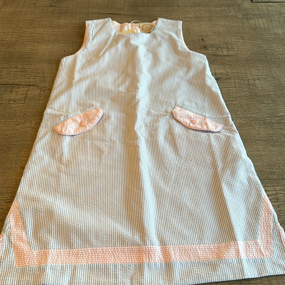 *NWT* Taylor Tunic Dress 10C